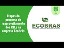Etapas do processo de reaproveitamento dos REEs na empresa ECOBRAS.