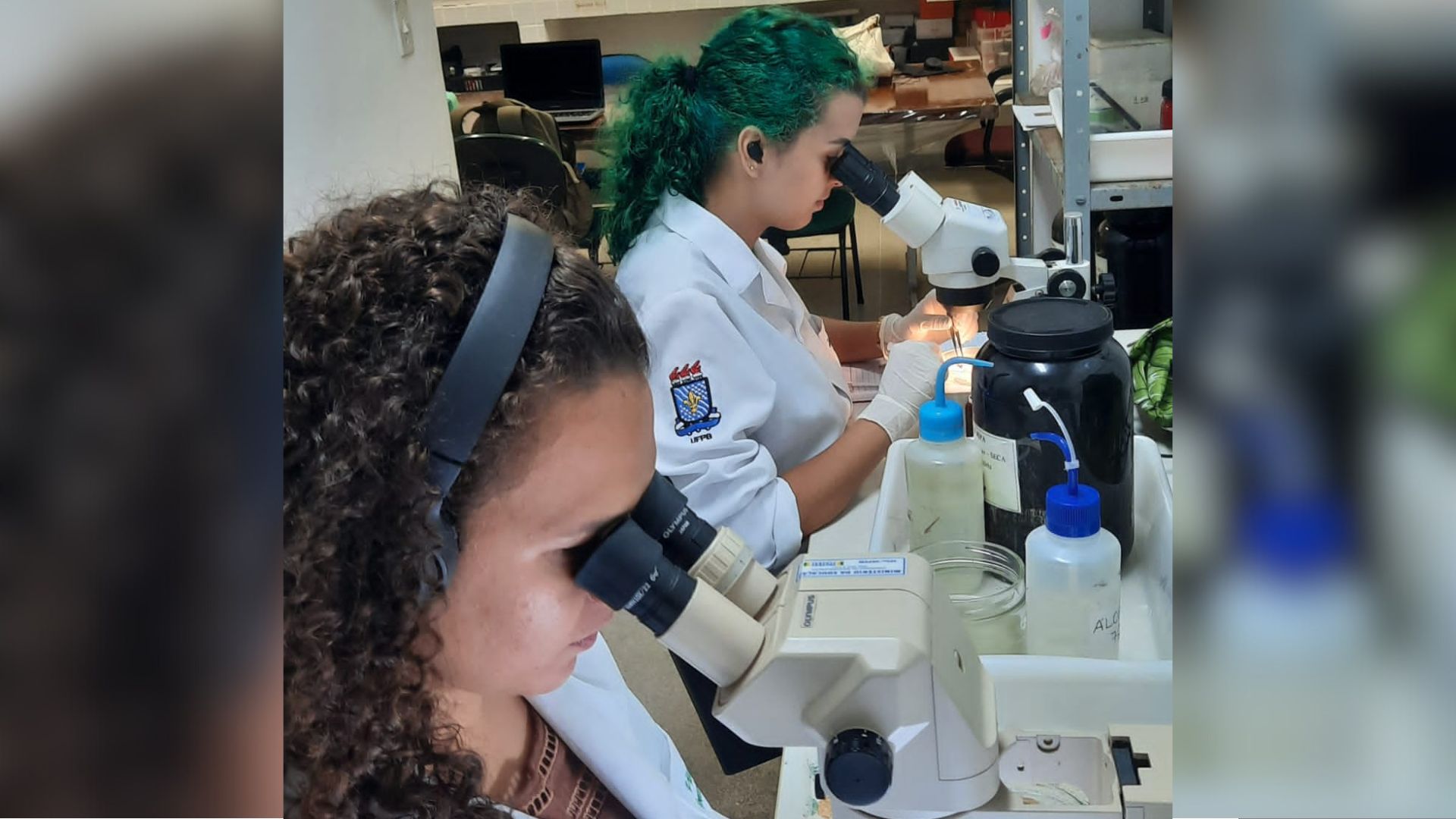 Pesquisa da UFPB é pioneira em levantamento de dados sobre a diversidade de parasitos de peixes no semiárido paraibano