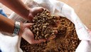 CURSO DE EXTENSÃO PARA FORMULAÇÃO DE RAÇÃO ARTESANAL PARA USO NA ALIMENTAÇÃO DO PESCADO EM AMBIENTES CONFINADOS