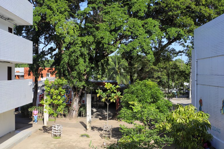 UFPB PROMOVE, NESTA QUINTA (27), CICLO DE CONVERSA SOBRE A TRAJETÓRIA E OBRAS DA ARTISTA BRASILEIRA THESSIA MACHADO UFPB PROMOVE, NESTA QUINTA (27), CICLO DE CONVERSA SOBRE A TRAJETÓRIA E OBRAS DA ARTISTA BRASILEIRA THESSIA MACHADO