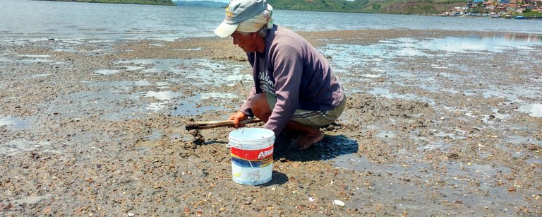 PESQUISAS SOBRE MARISCAGEM NO NORTE E NORDESTE PODEM CONCORRER A FINANCIAMENTO ATÉ 12 DE AGOSTO PESQUISAS SOBRE MARISCAGEM NO NORTE E NORDESTE PODEM CONCORRER A FINANCIAMENTO ATÉ 12 DE AGOSTO