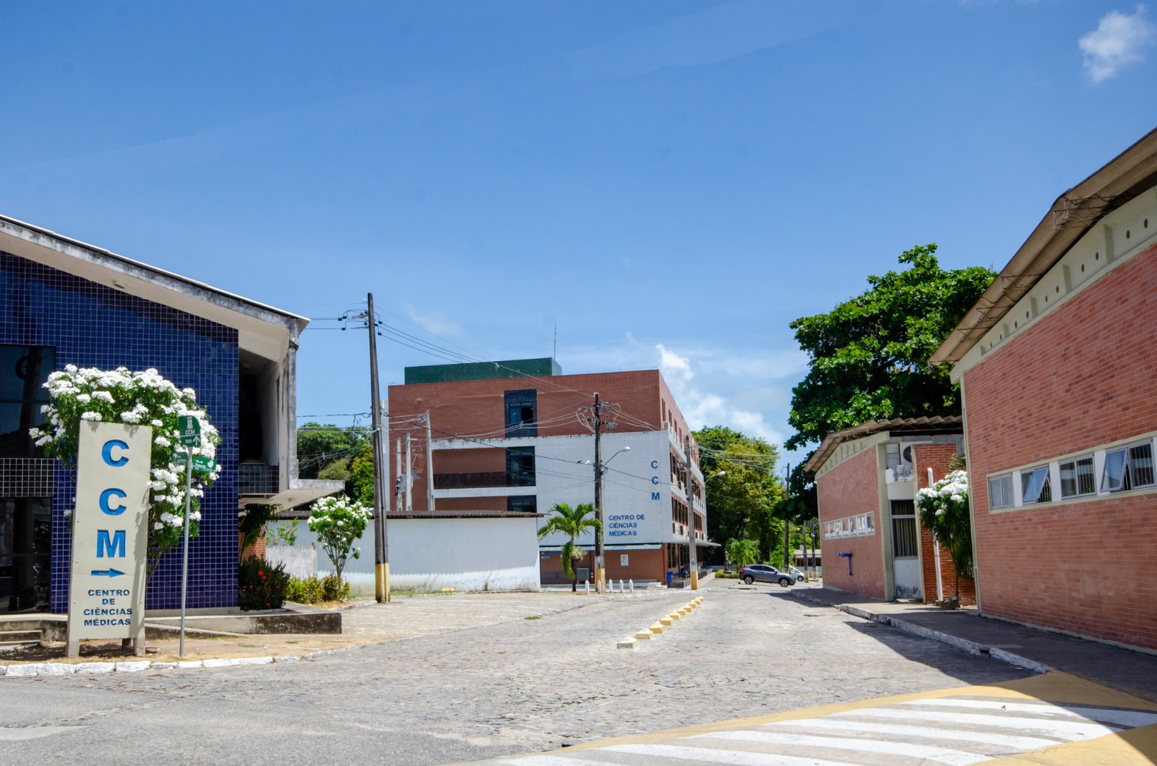 Agendamento e coleta de exames RT-PCR na UFPB estão suspensos até 4 de janeiro Foto: Angélica Gouveia