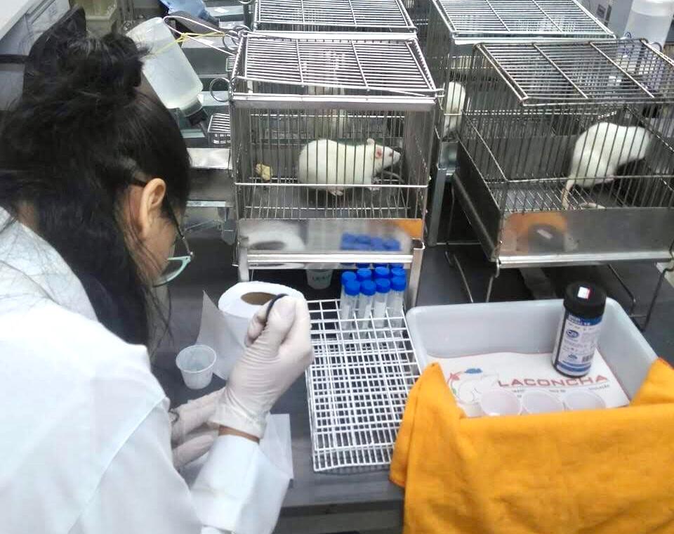 WhatsApp Image 2021-12-14 at 13.42.08.jpeg WhatsApp Image 2021-12-14 at 13.42.08.jpeg