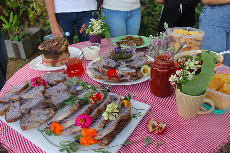 PESQUISA COM PARTICIPAÇÃO DA UFPB APONTA QUE BIODIVERSIDADE É NEGLIGENCIADA NA ALIMENTAÇÃO DE GRUPOS SOCIAIS NO BRASIL PESQUISA COM PARTICIPAÇÃO DA UFPB APONTA QUE BIODIVERSIDADE É NEGLIGENCIADA NA ALIMENTAÇÃO DE GRUPOS SOCIAIS NO BRASIL