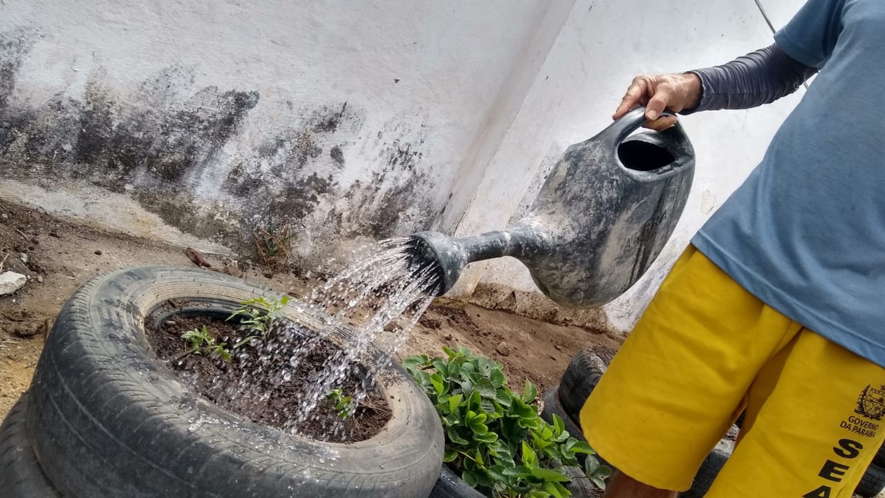 Foto: Diogo Fernandes da Silva