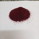 PROJETO DE PESQUISA DA UFPB DESTACA POTENCIAL PREBIÓTICO DA CASCA E DO CAROÇO DA JABUTICABA