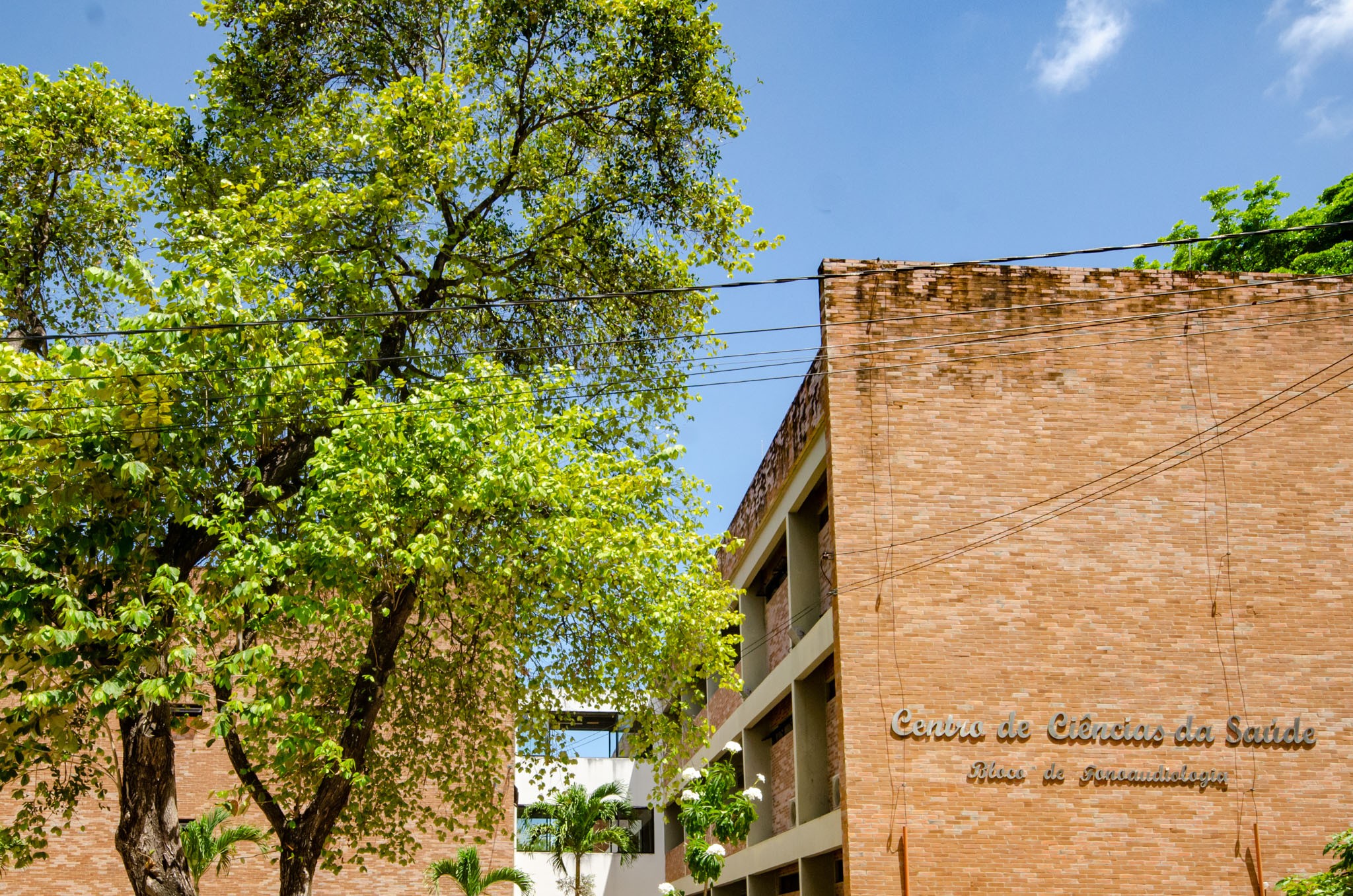 SIMPÓSIO NA UFPB VAI DEBATER PRÁTICAS INTEGRATIVAS E COMPLEMENTARES NA SAÚDE