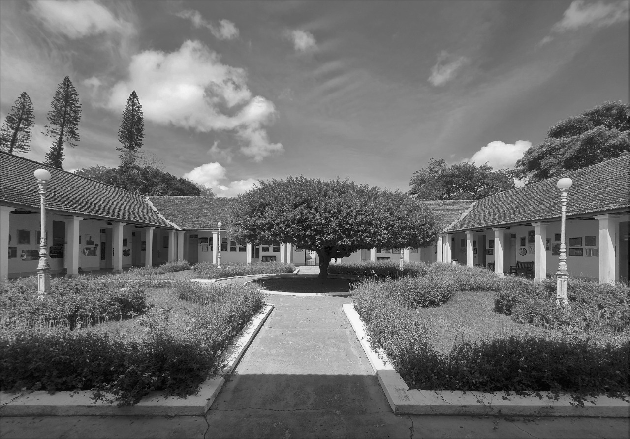 Foto: Angélica Gouveia