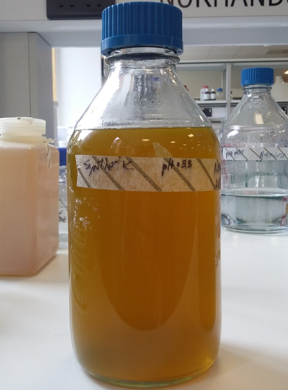 UFPB OBTÉM PATENTE DE MOSTO SINTÉTICO QUE SIMPLIFICA O CONTROLE DE MATÉRIAS-PRIMAS EM PROCESSOS DE FERMENTAÇÃO UFPB OBTÉM PATENTE DE MOSTO SINTÉTICO QUE SIMPLIFICA O CONTROLE DE MATÉRIAS-PRIMAS EM PROCESSOS DE FERMENTAÇÃO