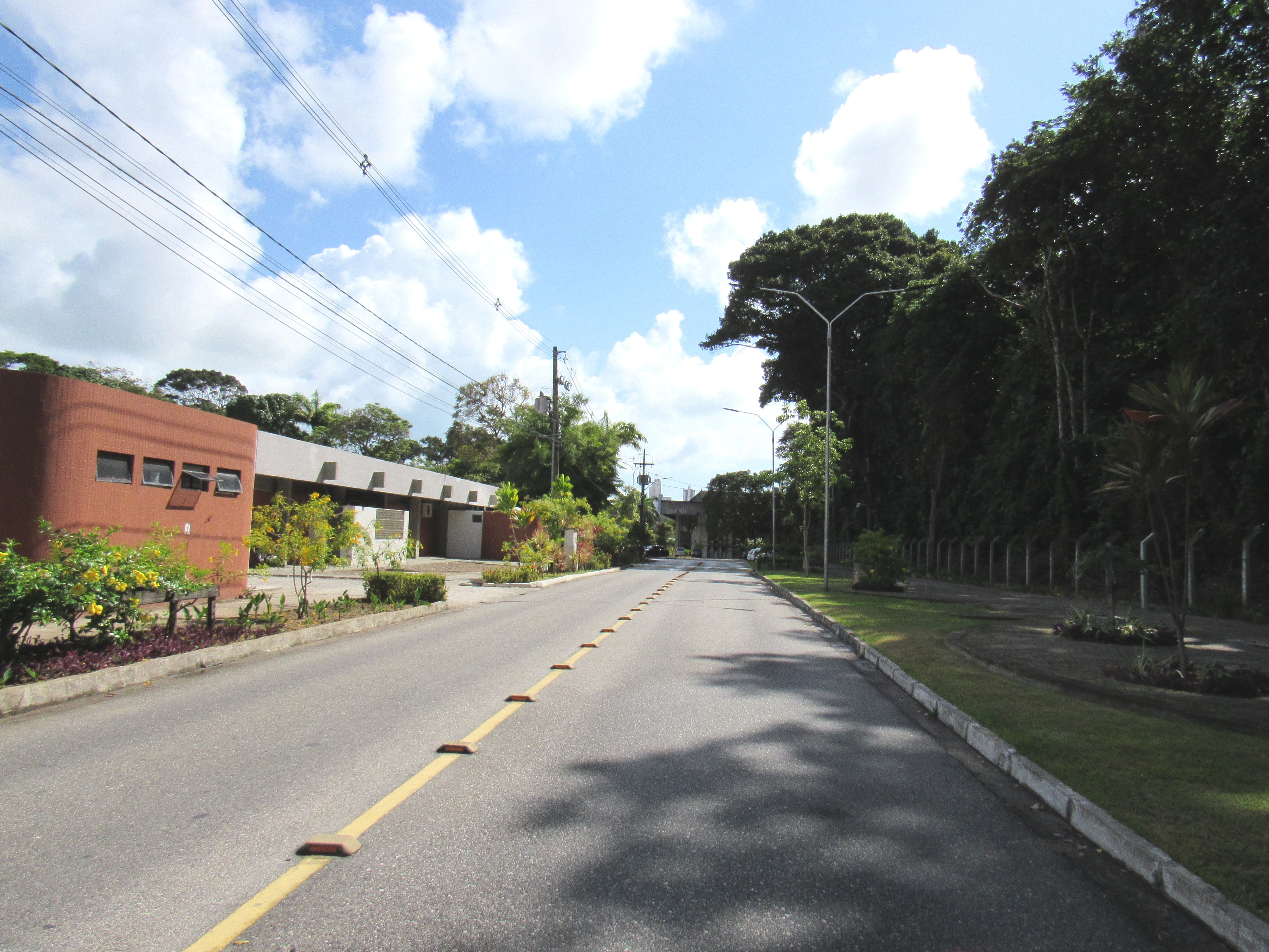 UFPB RECEBE PROPOSTAS PARA O FLUEX 2021